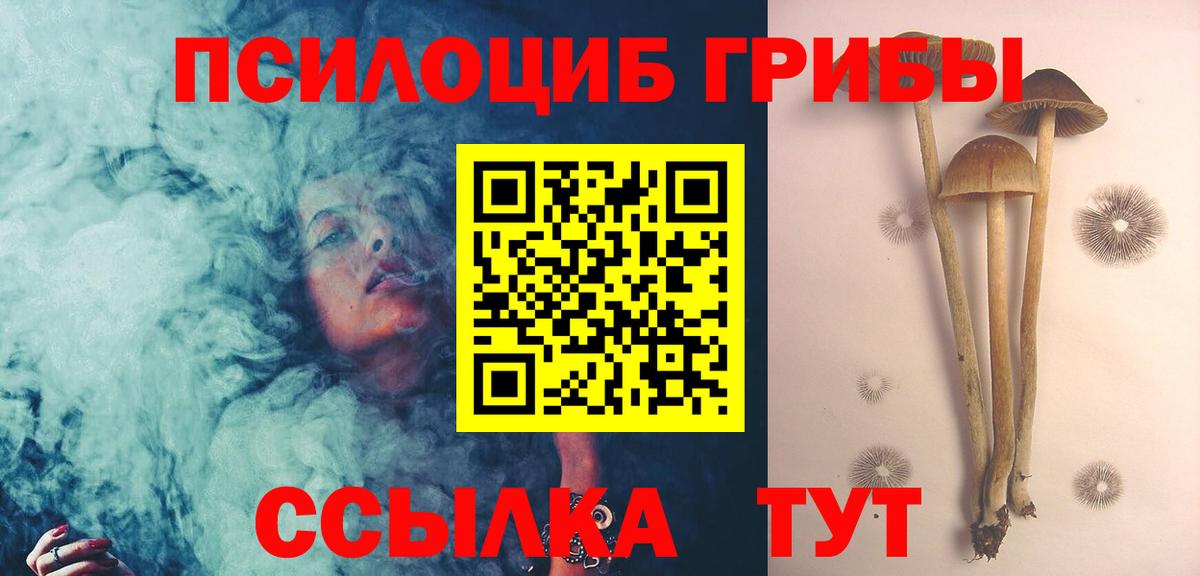 Псилоцибиновые грибы Cubensis Кострома